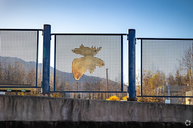 Moose sightings are common around Eagle River trails.