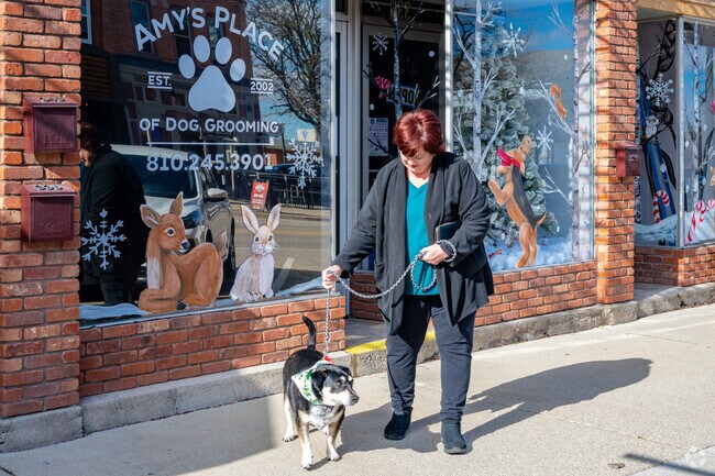 Bring your furry friend to Amy’s Place in Lapeer to get groomed by professional stylists.