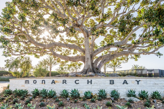 Moreton Bay Fig Tree, planted in 1961, is the symbolic figure standing outside Monarch Bay.