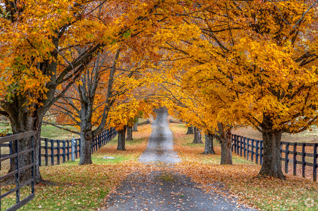 Living in Jimtown neighborhood you will see many long driveways with stunning trees lining them.