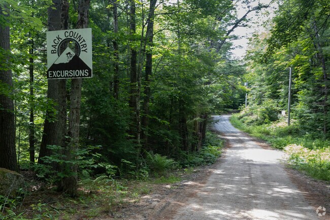 Back Country Excursions offer guided tours, bike rentals, and camping accommodations.