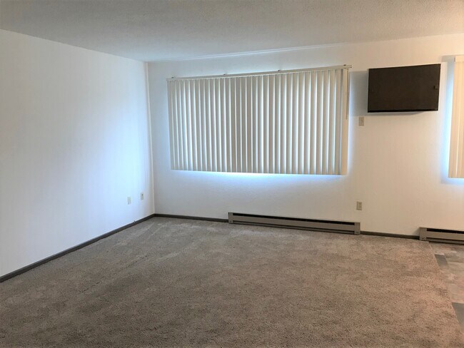 203 N 1st St unit 1, Elysian, MN 56028 - photo 7