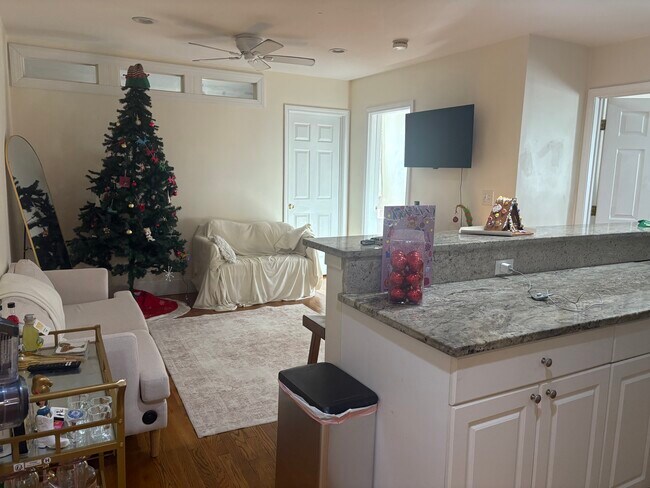 60 Egmont St unit 6, Brookline, MA 02446 - photo 2