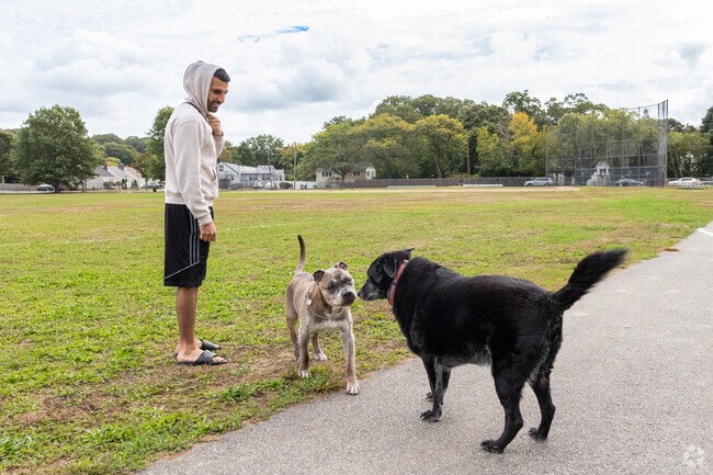 A meeting of the minds takes place at O'Rourke Field in West Quincy.