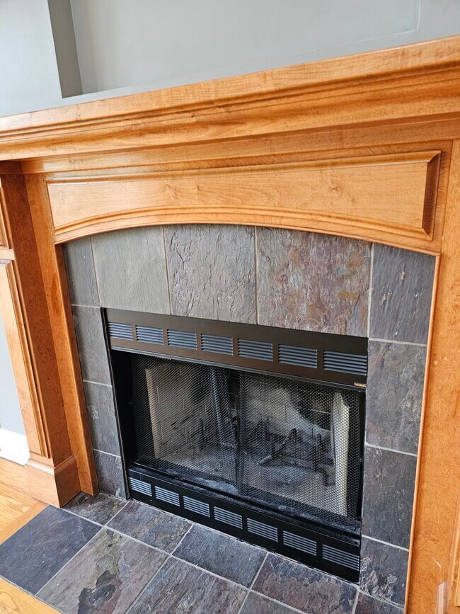 Wood burning fireplace