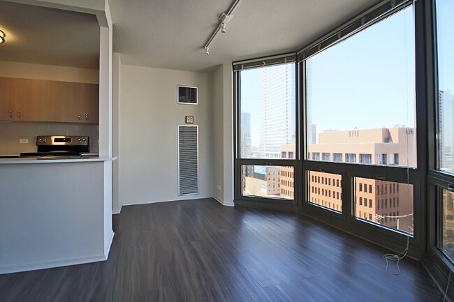 1135 N Dearborn St, Chicago, IL 60610 - photo 5