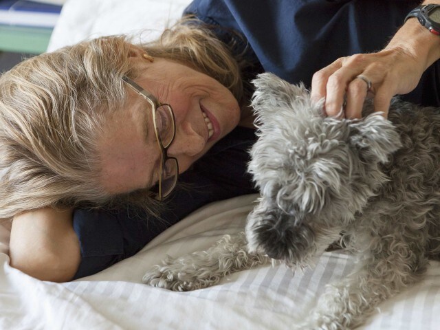 Everleigh Forestwood 55+ Active Adult Apartment Homes, Dallas, TX 75244 - photo 6