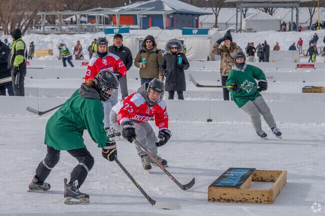 Pond Hockey Tournament