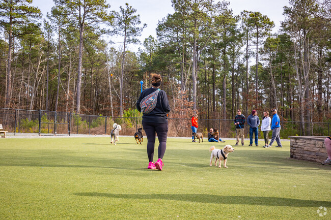 Bring your four-legged friends to Short Pump Dog Park near Wellesley.
