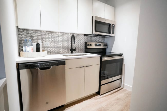 29 E Chestnut St, Chicago, IL 60611 - photo 6