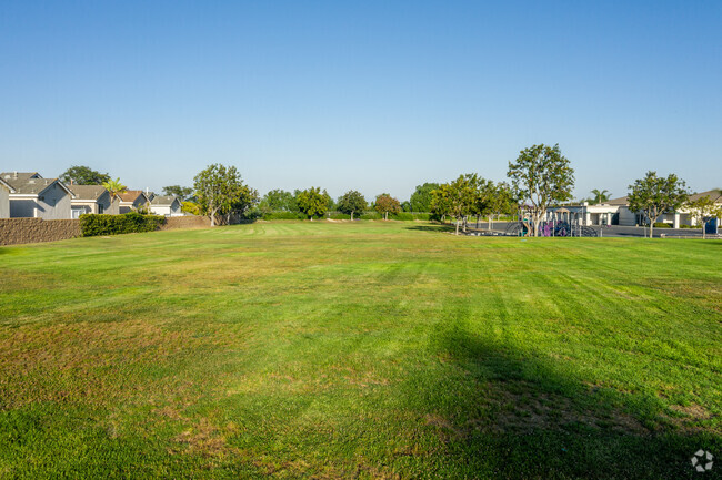 There is plenty of open green space at Oak Grove Elementary School for sports and recreation.
