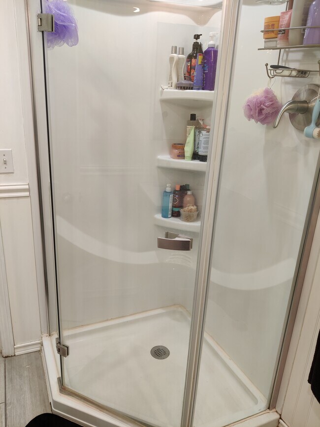 328 St Paul St Unit 5, Brookline, MA 02446