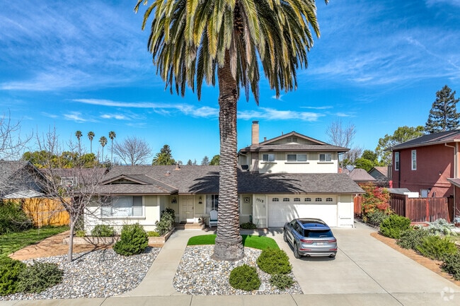Some Sunset East houses has evergreen trees rising above the low rooftops.
