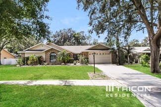 3906 Broomsedge Ln, Valrico, FL 33596