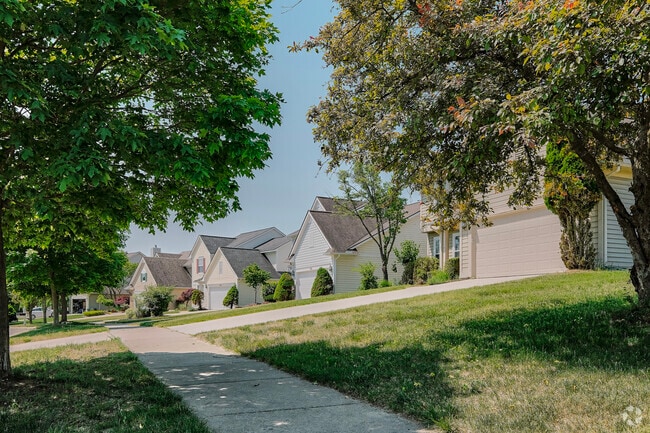 Side roads in King quickly give way to modern developments, with spacious modern houses.