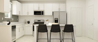 10038 Blazing Saddles Dr Unit 37164619, Wesley Chapel, FL 33525