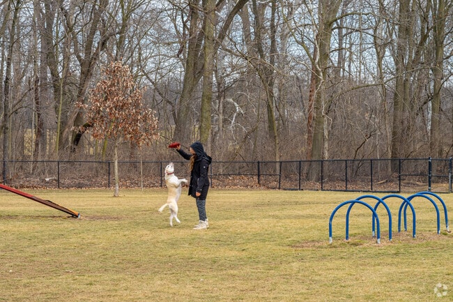 Pawster Park offers Southwood Park dog owners a fenced in area to let their pets run.