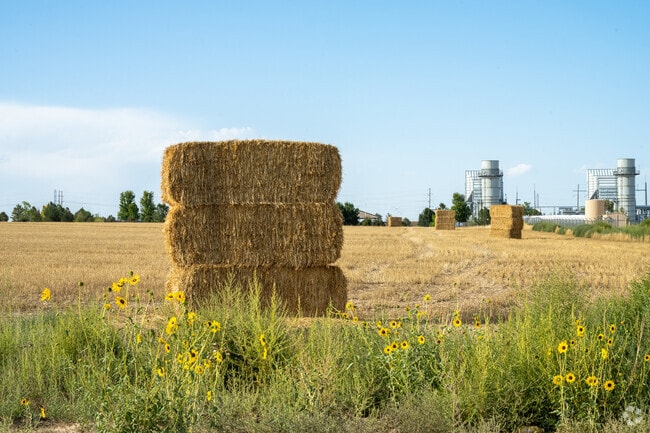 Fort Lupton is a rural Colorado community with a history as a fur trading town.