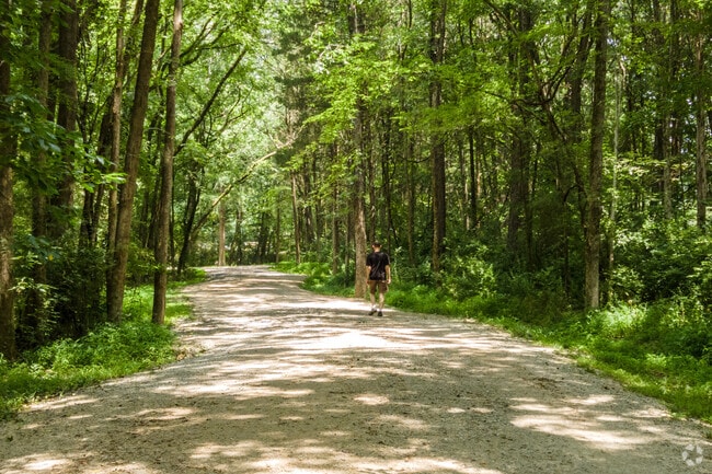 Take a walk along the trail at the McMullen Creek Greenway in Charlotte, NC.