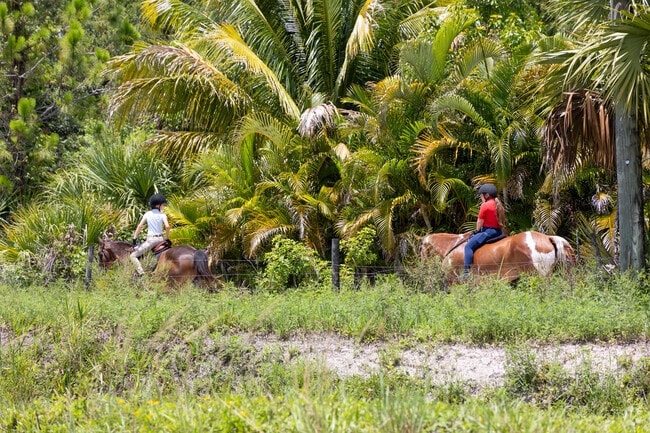 Residents and visitors can take horseback riding classes in Loxahatchee Groves.
