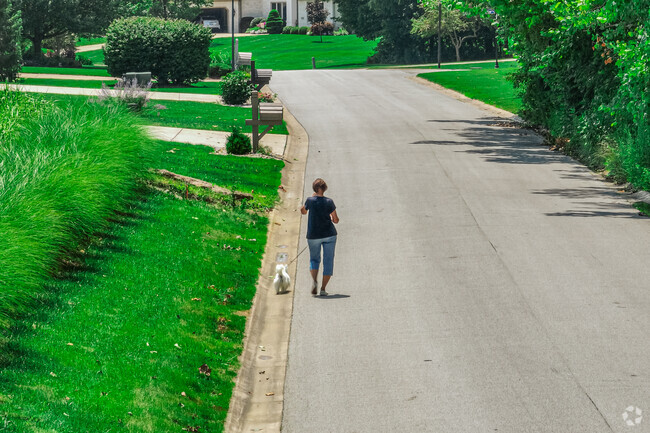 A friendly neighborhood pup takes her owner for a walk through one of Westbrook's tidy streets.