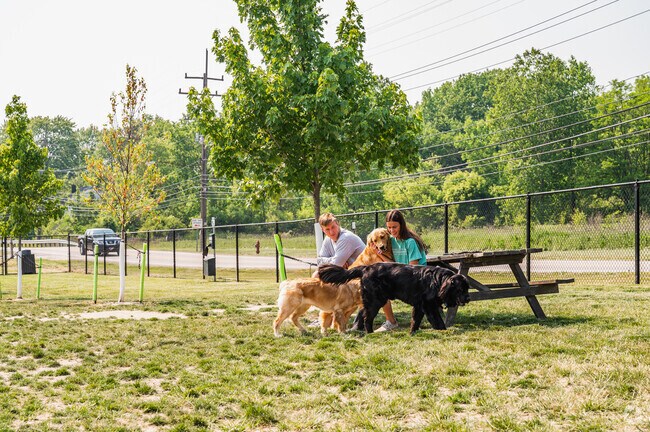 Enjoy a sunny afternoon with your furry friends in Brook Park .