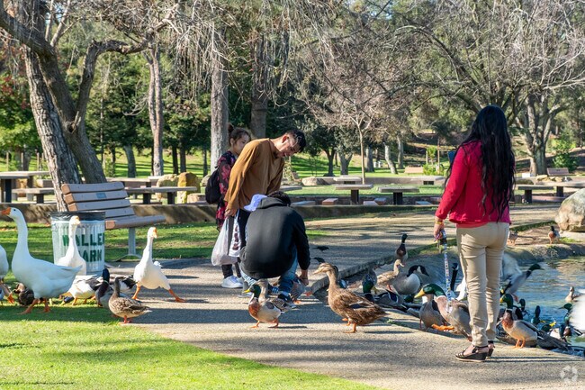 You can go feed ducks at Waller Park in Santa Maria.