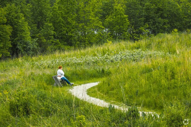 There are benches along the paths at Red-tail Nature Preserve.