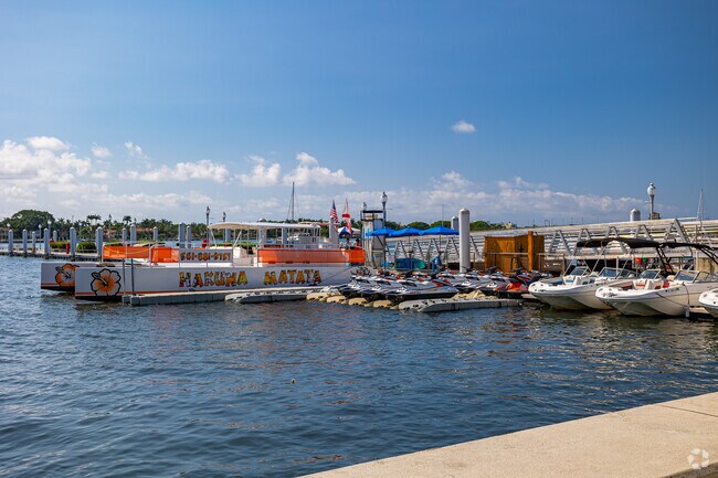 Hakuna Matata Catamaran Cruises provides sightseeing tours in Downtown West Palm Beach.