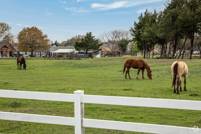 Horses and farm animals are not an uncommon sight in the Sunnyvale community.