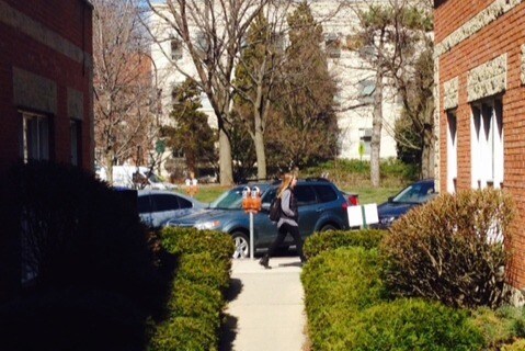 716-20 Clark St., Evanston, IL 60201 - photo 2