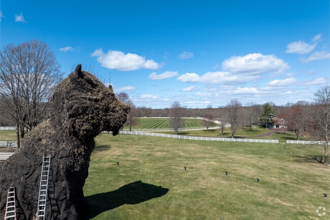 Back Country Greenwich is where you can find unique landscaping and creative designs.