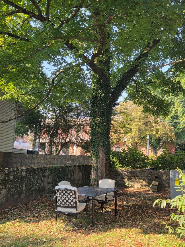 403 W Flower St unit A, Pulaski, TN 38478 - photo 3