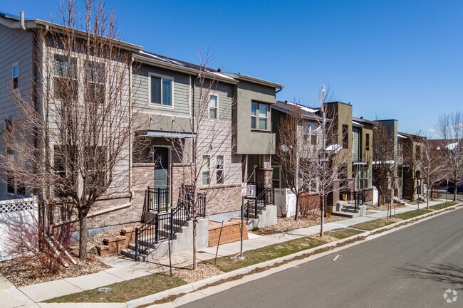 Uptown Broomfield Townhomes Row