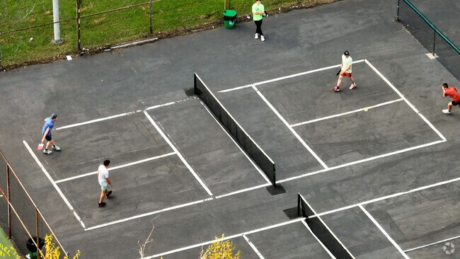 NH_Viola_547612_P2_v2_112124