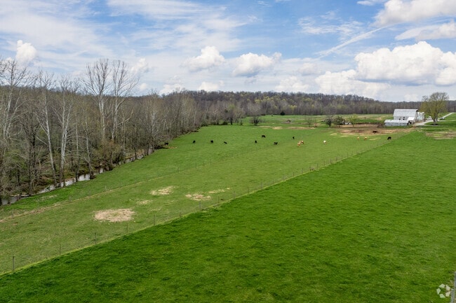 Cattle farms like Hayes Grass-Fed Beef cover the rural areas of Stanford.