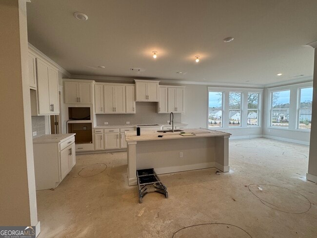 45 Rose Lake Ct, Hoschton, GA 30548 - photo 7