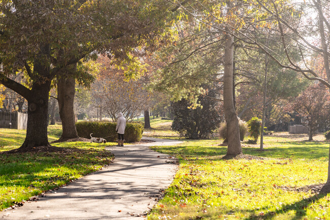 There are greenways throughout the Berrys Chapel neighborhood.