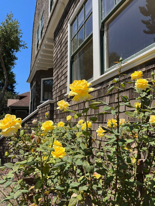 2644 Benvenue Ave Unit Large Flat in the Elmwood, Berkeley, CA 94704