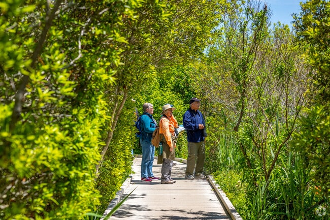 Hike along boardwalk paths through scenic nature trails at Cape May Point State Park.