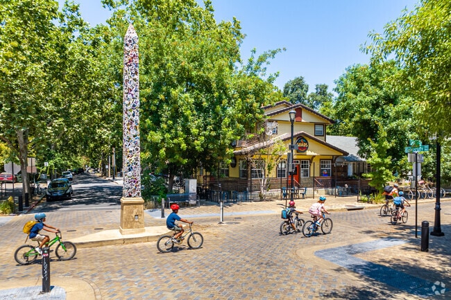 Downtown Davis and the surrounding area have many public bike lanes.