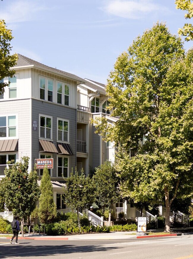 455 W Evelyn Ave, Mountain View, CA 94041