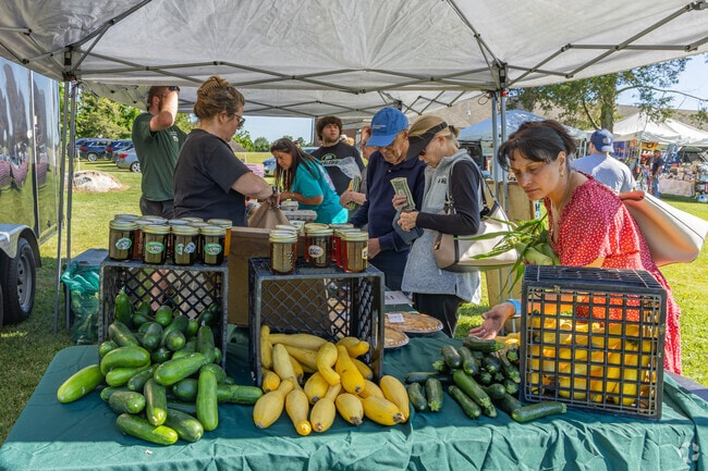 Shop for fresh, organic vegetables at the Brookfield Farmers Market in Brookfield.