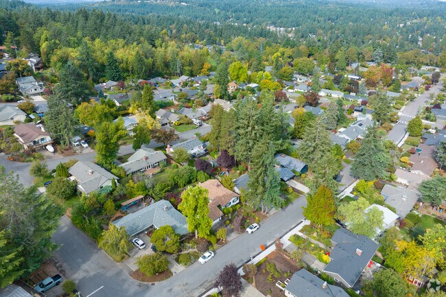 Trees begin to change colors as fall sets in to Hallinan.