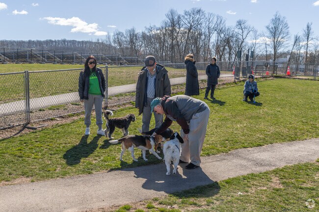 Explore the friendly Cheshire dog park.