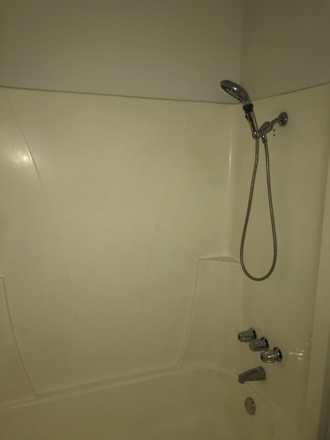Shower/tub