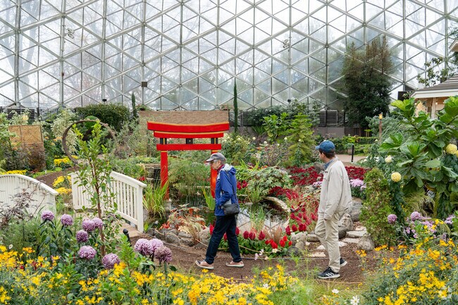 Sunset Heights locals visit The Domes Japanese Garden to enjoy its peaceful atmosphere.