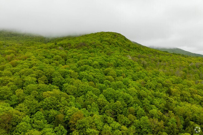 Fog blankets Burke Mountain, a popular skiing and mountain biking area 35 miles south of Newport Town.