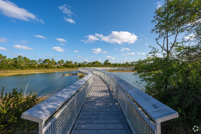 Beautiful scenery while walking around Miramar Pineland Park in the Miramar Park neighborhood.