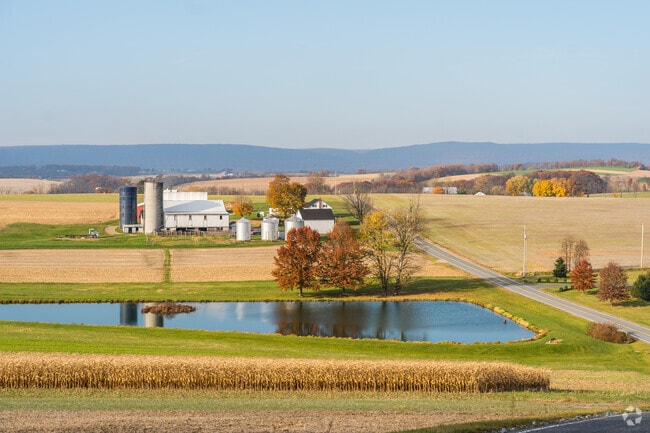 Discover the timeless beauty of Ontelaunee's farm roads, where simplicity meets elegance.